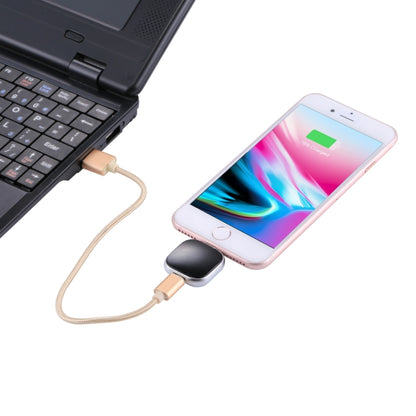 RQW-18S 8 Pin 128GB Multi-functional Flash Disk Drive with USB / Micro USB to Micro USB Cable(Black) - U Disk & Card Reader by PMC Jewellery | Online Shopping South Africa | PMC Jewellery | Buy Now Pay Later Mobicred