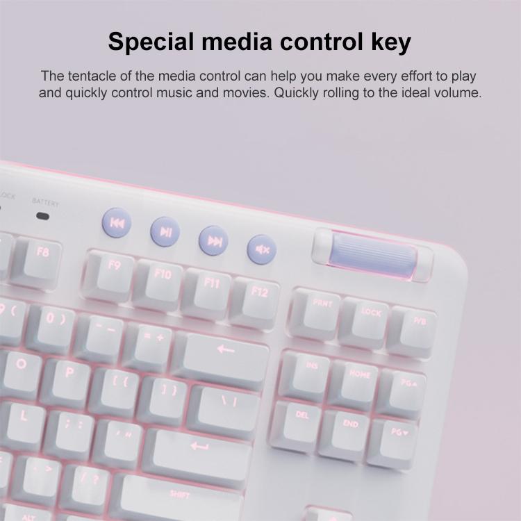 KB5598_3.jpg@52ecf218446d8f4949de50241d84aeb1