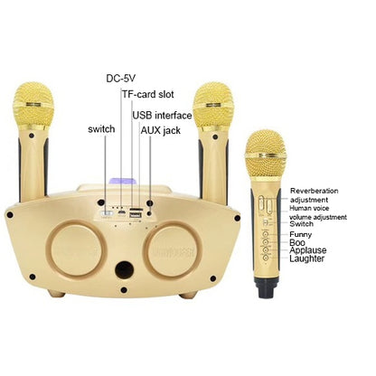 SD-306 2 in 1 Family KTV Portable Wireless Live Dual Microphone + Bluetooth Speaker(Pink) - Microphone by PMC Jewellery | Online Shopping South Africa | PMC Jewellery | Buy Now Pay Later Mobicred