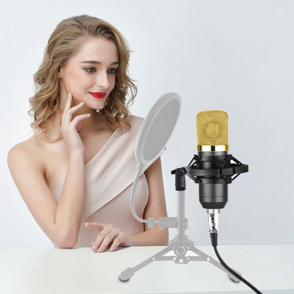 BM-700 USB Professional Condenser Microphone - Microphone by PMC Jewellery | Online Shopping South Africa | PMC Jewellery | Buy Now Pay Later Mobicred