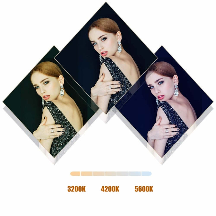 MANTOO RL-18 II 100-240V 55W 18 inch Two-color Dimmable Ring Fill Light with Tripod - free shipping - PMC Jewellery - Order now!