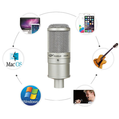 AQ-220 K Song Live Recording Noise Reduction Capacitor Microphone - Microphone by PMC Jewellery | Online Shopping South Africa | PMC Jewellery | Buy Now Pay Later Mobicred