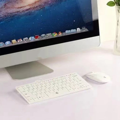 For Apple iMac 21.5 inch Color Screen Non-Working Fake Dummy Display Model (Silver) - Laptop Model by PMC Jewellery | Online Shopping South Africa | PMC Jewellery | Buy Now Pay Later Mobicred