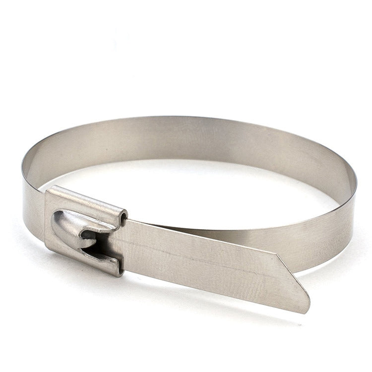 100 PCS 4.6x100mm Stainless Steel Metal Cable Ties Tie Zip Wrap Exhaust Heat Straps Induction Pipe - Clamps by PMC TechLife | Online Shopping South Africa | PMC TechLife