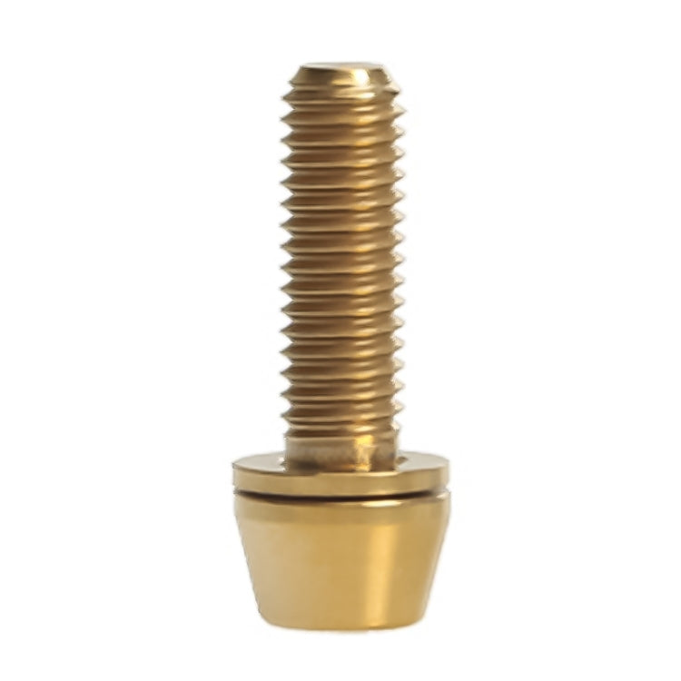 TOSEEK Bicycle Handlebar Stem Screw Titanium Alloy M5x16mm Mountain Bike  Fixed Gear Handlebar Stem Screw with Gasket (Gold) - Bicycle Grips by TOSEEK | Online Shopping South Africa | PMc TechLife | Buy Now Pay Later Mobicred