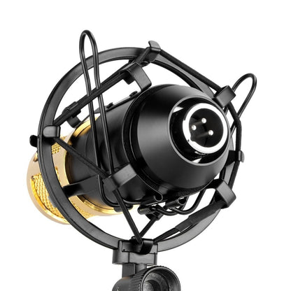 FIFINE F-700 Professional Condenser Sound Recording Microphone with Shock Mount for Studio Radio Broadcasting & Live Boardcast, 3.5mm Earphone Port, Cable Length: 2.5m(Black) - Microphone by PMC Jewellery | Online Shopping South Africa | PMC Jewellery | Buy Now Pay Later Mobicred