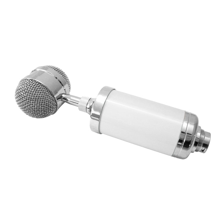 3000 Home KTV Mic Condenser Sound Recording Microphone with Shock Mount & Pop Filter for PC & Laptop, 3.5mm Earphone Port, Cable Length: 2.5m(White) - Microphone by PMC Jewellery | Online Shopping South Africa | PMC Jewellery | Buy Now Pay Later Mobicred