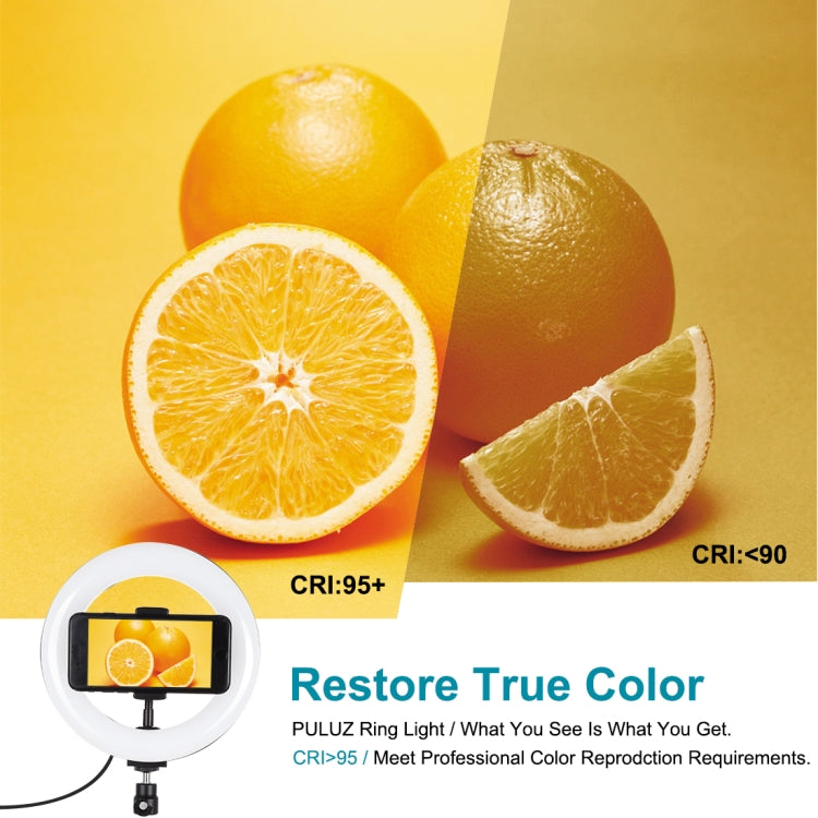 PULUZ 7.9 inch 20cm Light + Desktop Tripod Mount USB 3 Modes Dimmable Dual Color Temperature LED Curved Light Ring Vlogging Selfie Beauty Photography Video Lights with Phone Clamp(Black) - Ring Light by PULUZ | Online Shopping South Africa | PMC TechLife | Buy Now Pay Later Mobicred