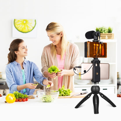 PULUZ Live Broadcast Smartphone Video Light Vlogger Kits with Microphone + LED Light + Tripod Mount + Phone Clamp Holder (Black) - Stand by PULUZ | Online Shopping South Africa | PMC Jewellery | Buy Now Pay Later Mobicred