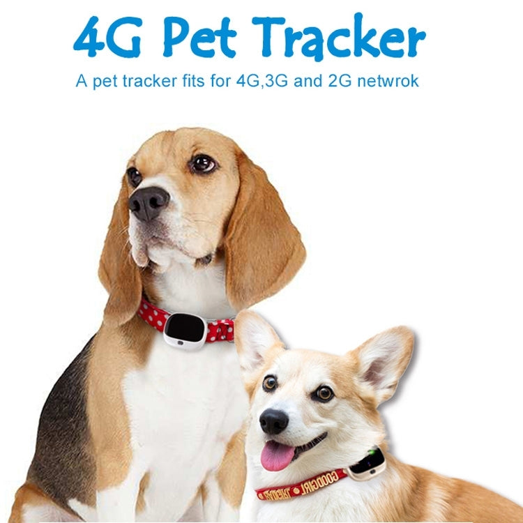 RF-V43 B Style IP67 Waterproof GPS + LBS + WiFi Pet Locator Pet Collar Tracking Device For North America/South America(White) - Pet Tracker by PMC Jewellery | Online Shopping South Africa | PMC Jewellery | Buy Now Pay Later Mobicred