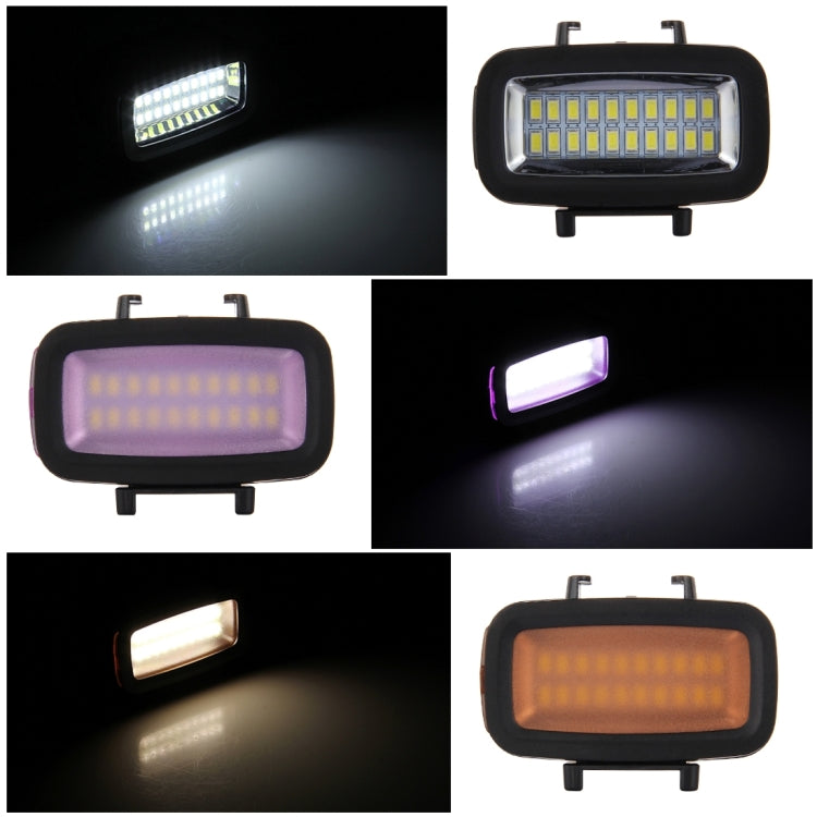 PULUZ 20 LEDs 40m Waterproof IPX8 Studio Light Video & Photo Light with Hot Shoe Base Adapter & Quick Release Buckle & Long Screw & 2 x Filter Plates for GoPro HERO10 Black / HERO9 Black / HERO8 Black ... n /4 /3+ /3 /2 /1, Xiaoyi and Other Action Cameras - free shipping - PMC TechLife - Order now!