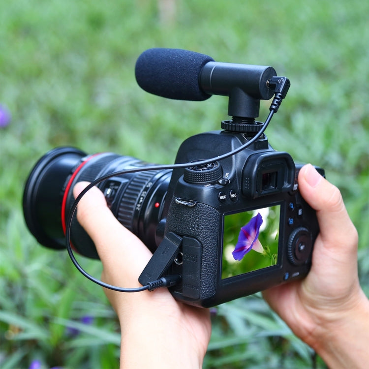 PULUZ 3.5mm Audio Stereo Recording Vlogging Professional Interview Microphone for DSLR & DV Camcorder, Smartphones - Camera Microphone by PULUZ | Online Shopping South Africa | PMC TechLife | Buy Now Pay Later Mobicred