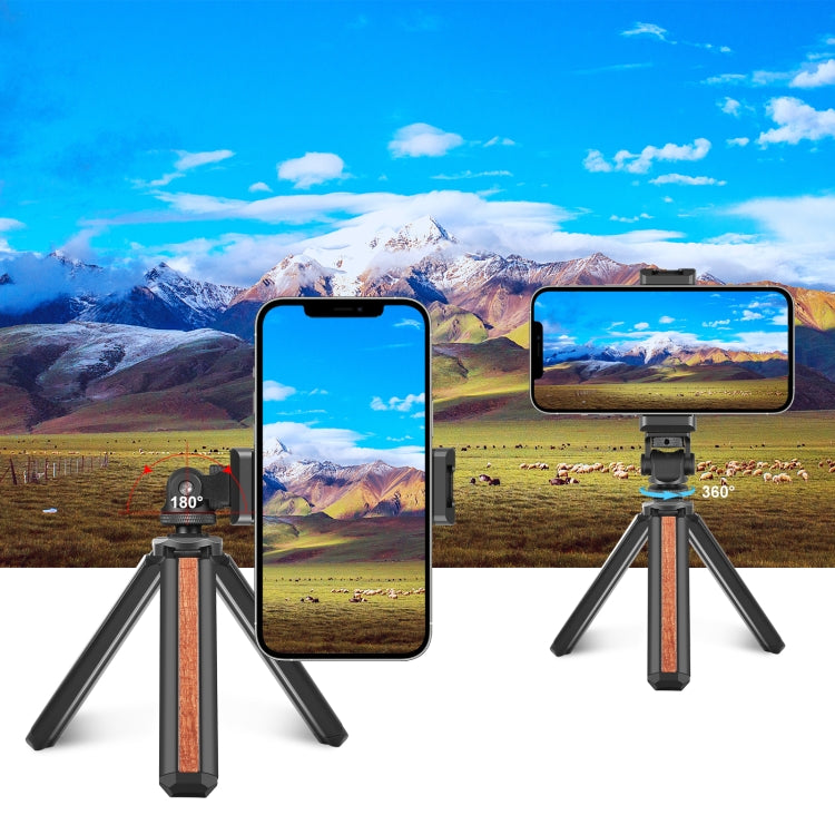 PULUZ Tripod Head Cold Shoes Aluminum Alloy Phone Clamp Holder Bracket (Black) - Desktop Holder by PULUZ | Online Shopping South Africa | PMC TechLife | Buy Now Pay Later Mobicred