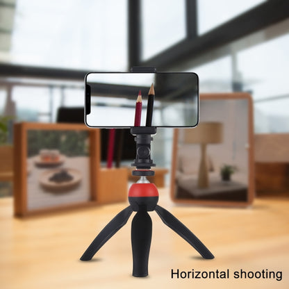 PULUZ 1/4 inch Screw Thread Cold Shoe Tripod Mount Adapter - Connection Mount by PULUZ | Online Shopping South Africa | PMC Jewellery