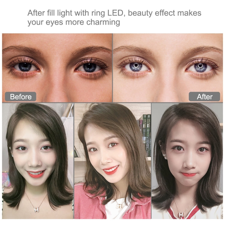 PULUZ 7.9 inch 20cm USB 3 Modes Dimmable Dual Color Temperature LED Curved Light Ring Vlogging Selfie Photography Video Lights with Phone Clamp(Black) - Ring Light by PULUZ | Online Shopping South Africa | PMC TechLife | Buy Now Pay Later Mobicred