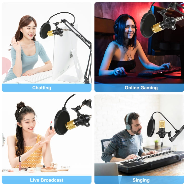 PULUZ Studio Broadcast Professional Singing Microphone Kits with Suspension Scissor Arm & Metal Shock Mount & USB Sound Card(Gold) - Microphone by PULUZ | Online Shopping South Africa | PMC Jewellery | Buy Now Pay Later Mobicred