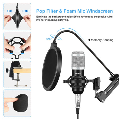 PULUZ Studio Broadcast Professional Singing Microphone Kits with Suspension Scissor Arm & Metal Shock Mount & USB Sound Card(Silver) - Microphone by PULUZ | Online Shopping South Africa | PMC Jewellery | Buy Now Pay Later Mobicred