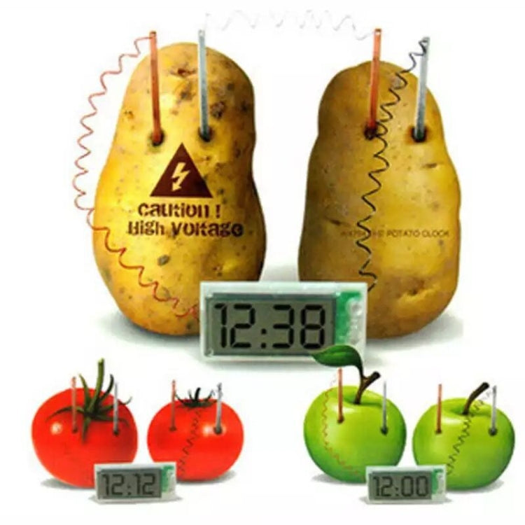 DIY Novel Green Science Potato Digital Clock Educational Kit with 2 inch LCD Screen (Potato NOT Included)(White) - Alarm Clocks by PMC Jewellery | Online Shopping South Africa | PMC Jewellery | Buy Now Pay Later Mobicred