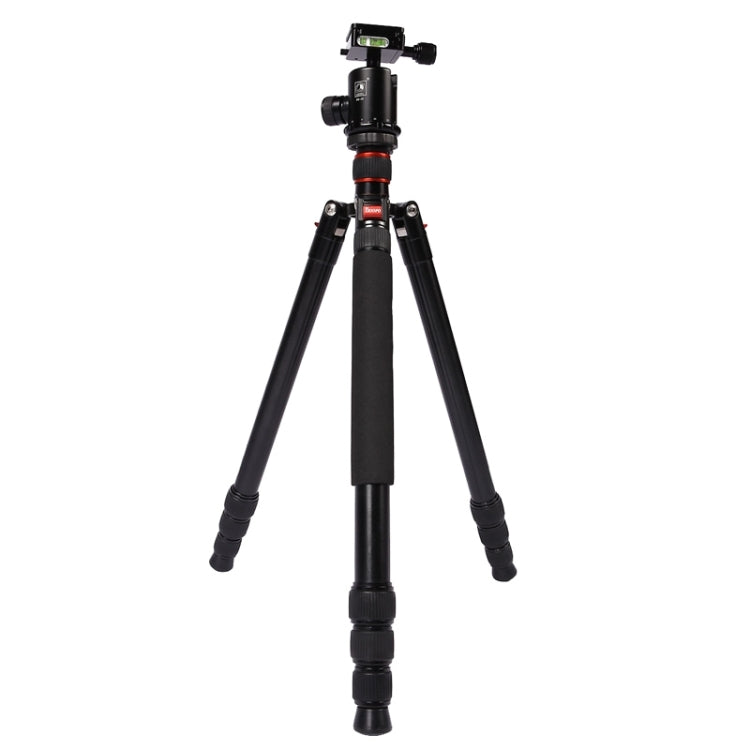 Triopo MT-2804C Adjustable Portable Aluminum Tripod with NB-2S Ball Head for Canon Nikon Sony DSLR Camera(Black) - free shipping - PMC TechLife - Order now!