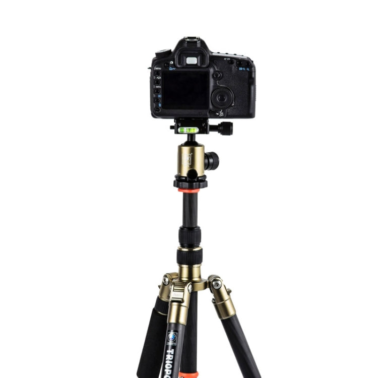 Triopo GT-2505x8.C Adjustable Portable Carbon Fiber Tripod (Gold) with B-1 Aluminum Ball Head (Black) for Canon Nikon Sony DSLR Camera - free shipping - PMC TechLife - Order now!