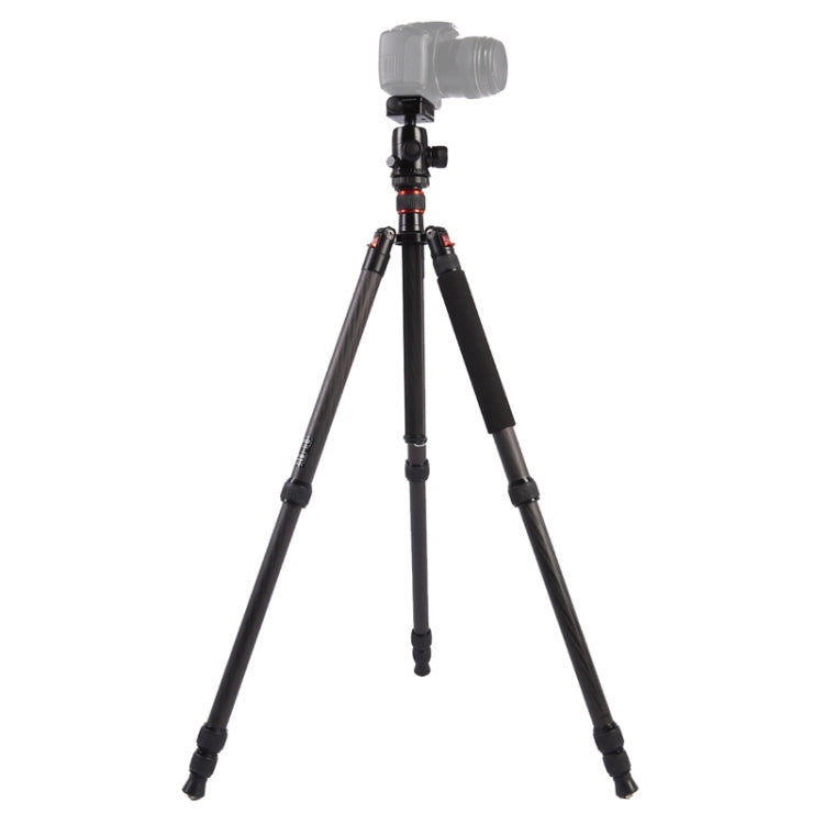 Triopo GT-2804X8.C Adjustable Portable Carbon Fiber Tripod (Gold) with B-2 Aluminum Ball Head (Black) for Canon Nikon Sony DSLR Camera - free shipping - PMC TechLife - Order now!