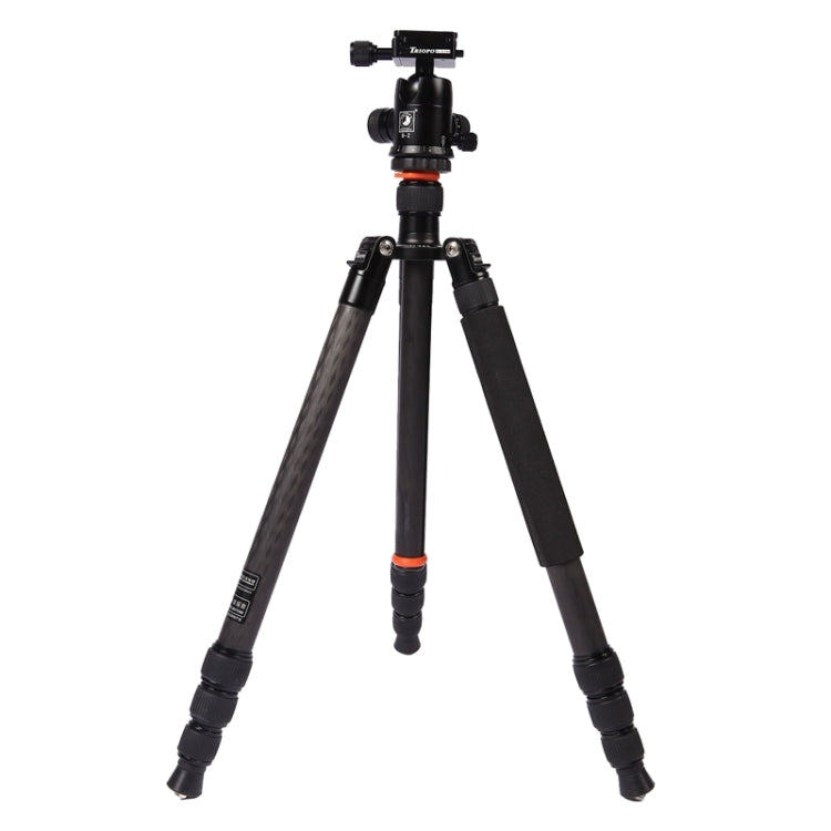 Triopo GT-2804X8.C Adjustable Portable Carbon Fiber Tripod (Gold) with B-2 Aluminum Ball Head (Black) for Canon Nikon Sony DSLR Camera - free shipping - PMC TechLife - Order now!