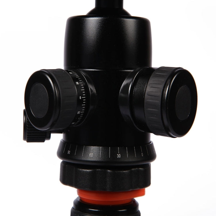 Triopo GT-2804X8.C Adjustable Portable Carbon Fiber Tripod (Gold) with B-2 Aluminum Ball Head (Black) for Canon Nikon Sony DSLR Camera - free shipping - PMC TechLife - Order now!