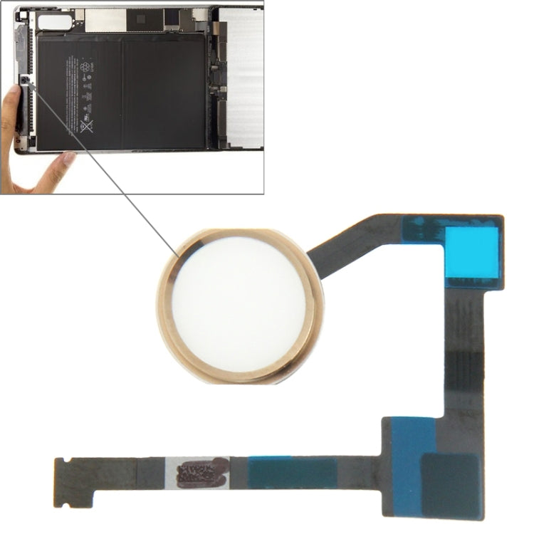 Original Home Button Flex Cable for iPad Air 2 / 6(Gold) - iPad Air Parts by PMC Jewellery | Online Shopping South Africa | PMC Jewellery | Buy Now Pay Later Mobicred