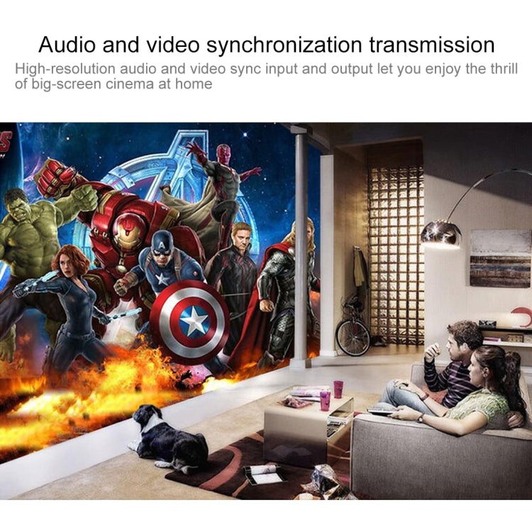 NF-F001 3G SDI to AV +  SDI Scaler Converter, Allow SD-SDI / HD-SDI / 3G-SDI Shown on HDTV - Video Converter by PMC Jewellery | Online Shopping South Africa | PMC Jewellery | Buy Now Pay Later Mobicred