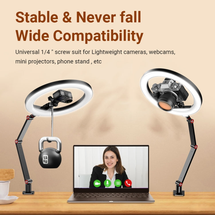 Apexel FL20 10 Inch LED Ring Light Foldable Metal Swing Arm Desk Lamp with Stand & Phone Holder - free shipping - PMC Jewellery - Order now!