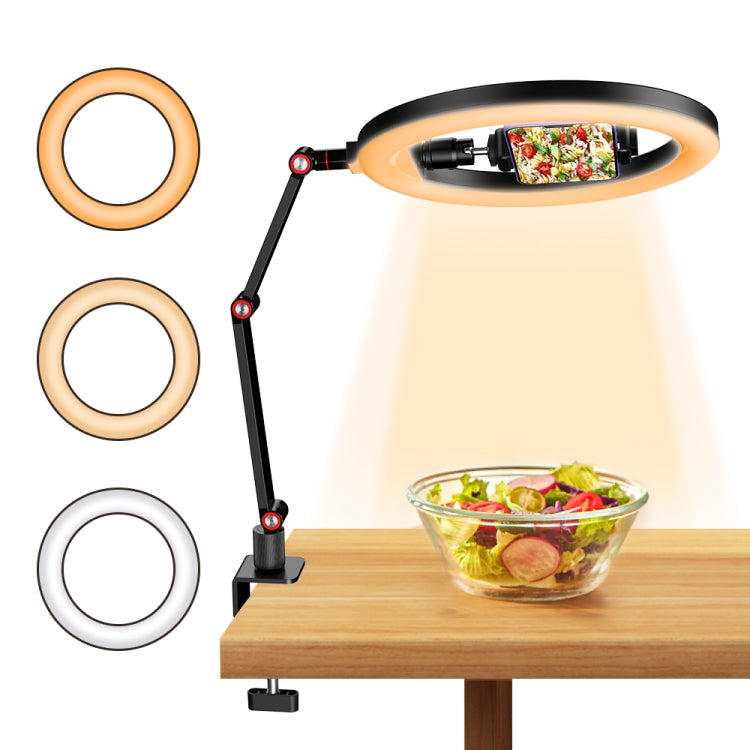 Apexel FL20 10 Inch LED Ring Light Foldable Metal Swing Arm Desk Lamp with Stand & Phone Holder - free shipping - PMC Jewellery - Order now!