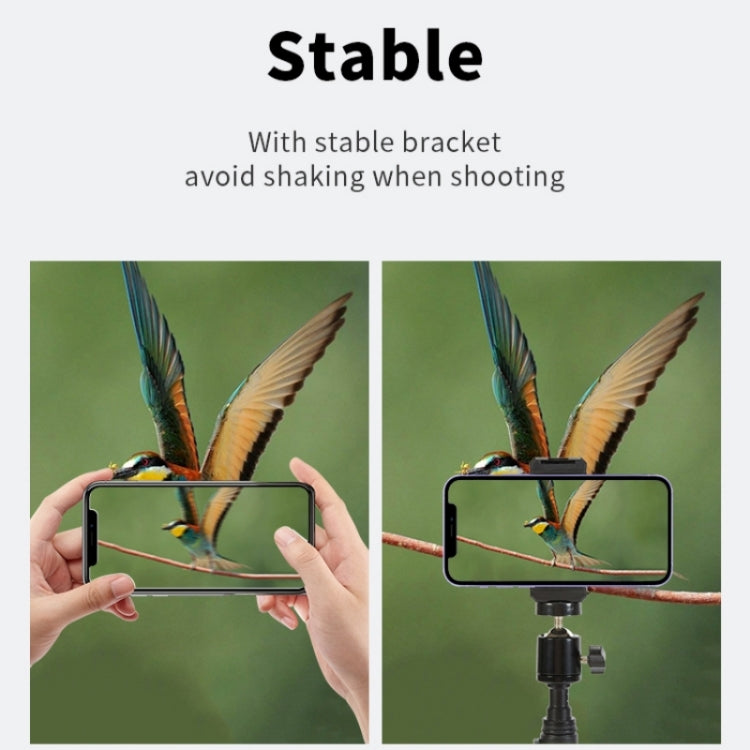 JMARY MT38 Travel Tripod Phone Holder 1.68m Telescopic Vlogging Camera Mount Tripod Stand - Tripods by Jmary | Online Shopping South Africa | PMC TechLife | Buy Now Pay Later Mobicred
