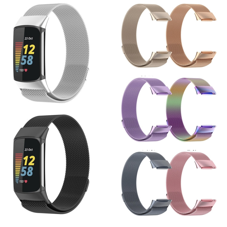 For Fitbit Charge 6 Milan Magnetic Metal Steel Mesh Watch Band(Silver) - Watch Bands by PMC TechLife | Online Shopping South Africa | PMC TechLife