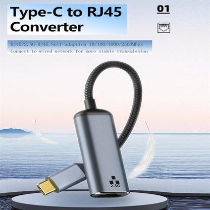 Type-C to RJ45 2500Mbps Ethernet Adapter - Cable & Adapters by PMC Jewellery | Online Shopping South Africa | PMC Jewellery | Buy Now Pay Later Mobicred