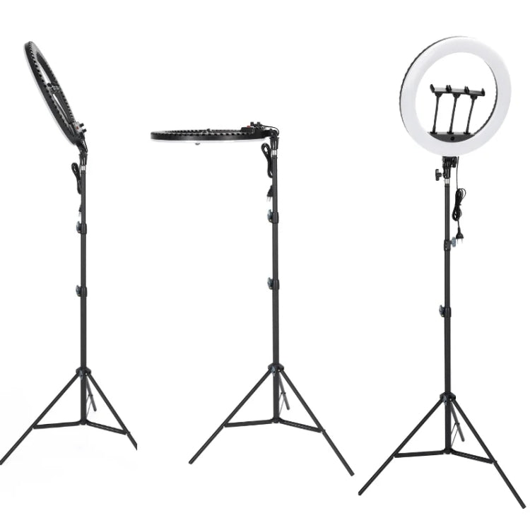 JMARY FM-18R LED Beauty Ring Light 18-inch Photography Live Streaming Fill Light(EU Plug) - free shipping - PMC TechLife - Order now!