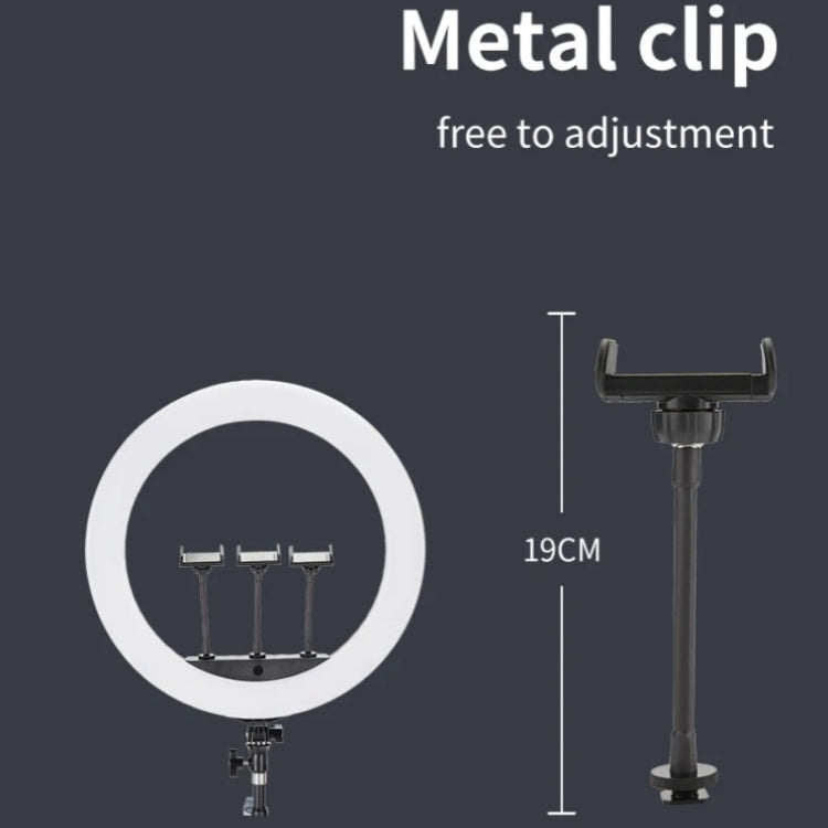 JMARY FM-21R With Remote Control Phone Clip 21-inch Dimmable LED Ring Light(EU Plug) - free shipping - PMC TechLife - Order now!