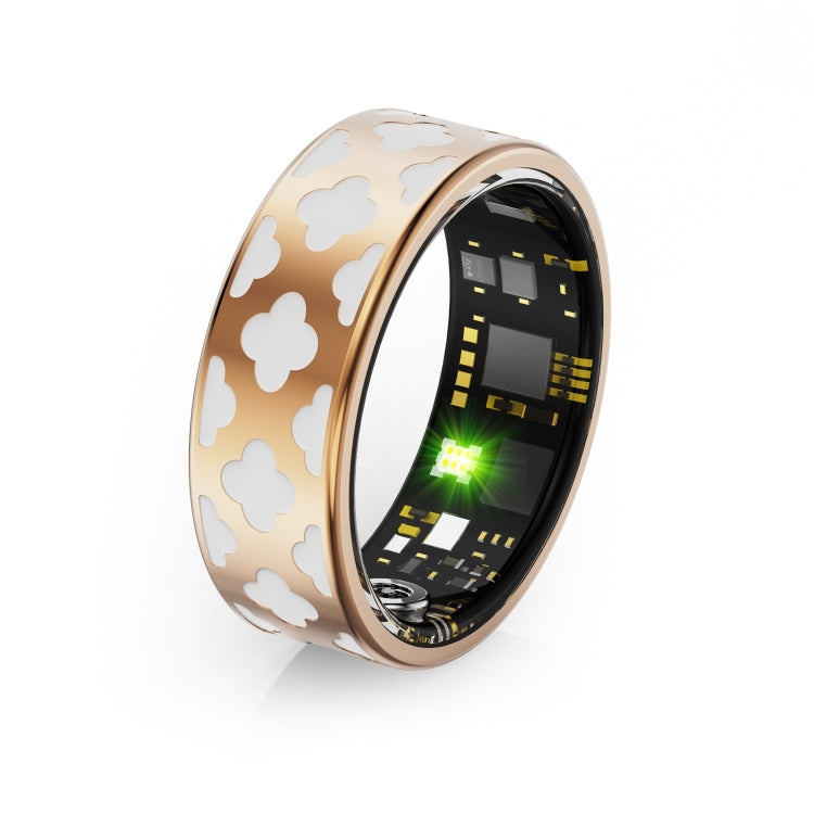 R10M SIZE 10 Smart Ring, Support Heart Rate / Blood Oxygen / Sleep Monitoring / Multiple Sports Modes(Rose Gold) - Smart Rings / Smart Telephones by PMC TechLife | Online Shopping South Africa | PMC TechLife | Buy Now Pay Later Mobicred