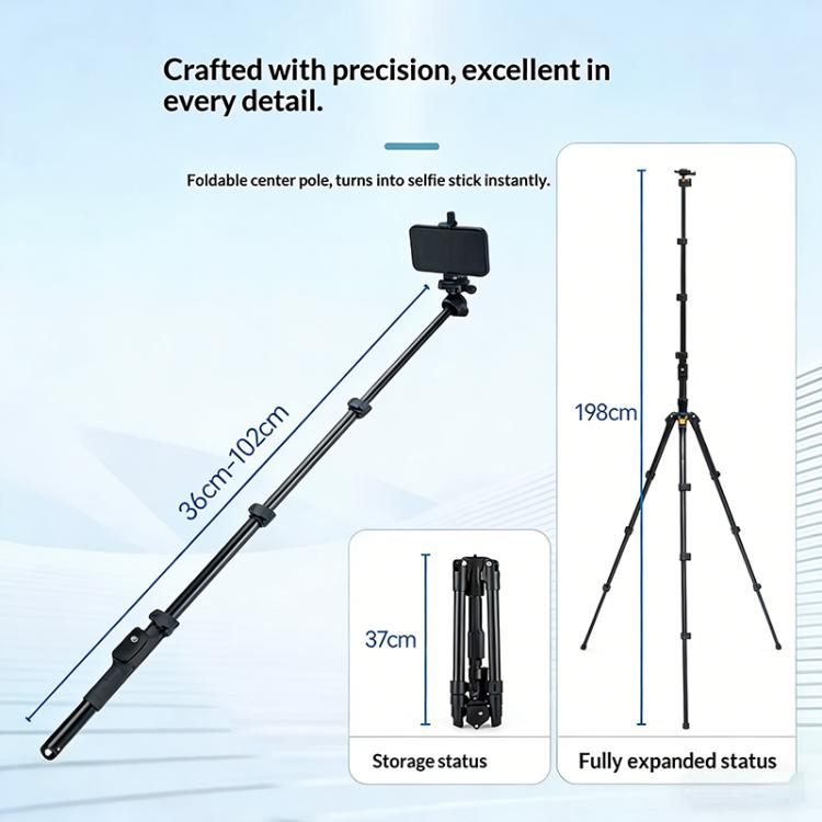 SYA0032152_8.jpg@f6e7772efed9c53a62a51bb764147e58