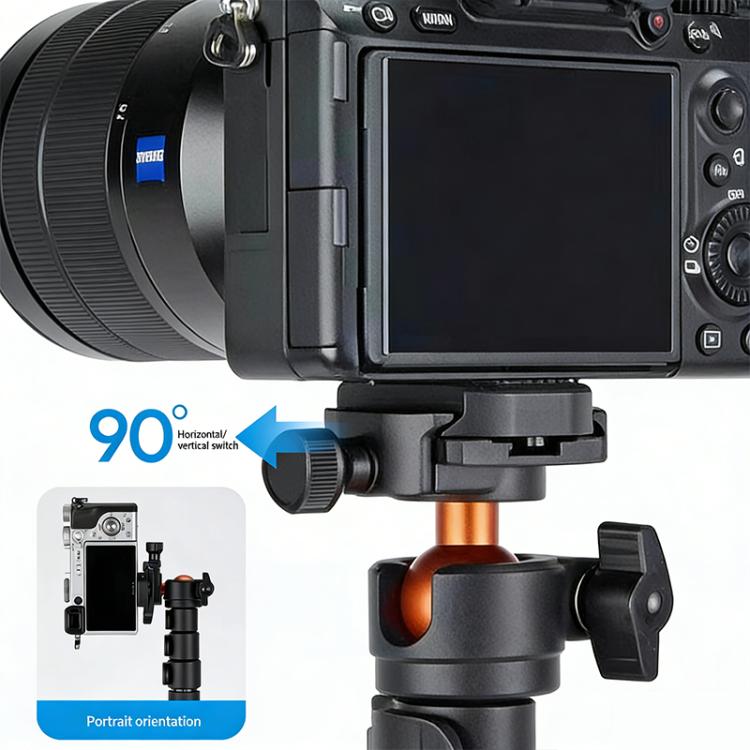 SYA0032152_9.jpg@b526fce33c2fdfb04e77c0cb054e20b3