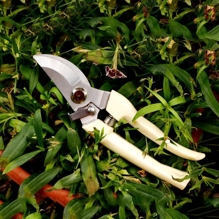 Garden Tools Stainless Steel Pruning Shears Fruit Tree Scissors Garden Branch Shears(Elbow) - Garden Hand Tools by PMC Jewellery | Online Shopping South Africa | PMC Jewellery