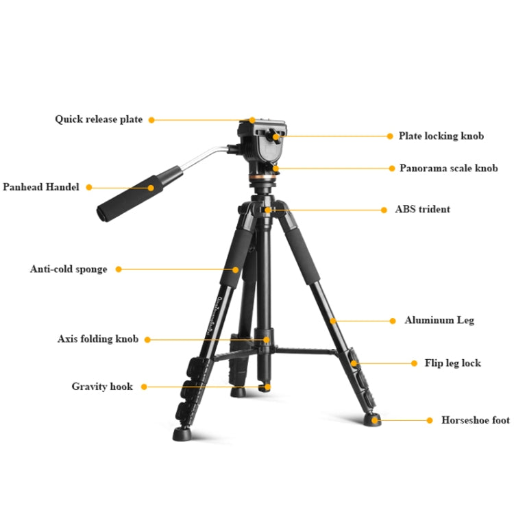 QingZhuangShiDai Q111S Aluminum Alloy Mobile Phone Camera Photography Tripod(Black) - free shipping - PMC TechLife - Order now!