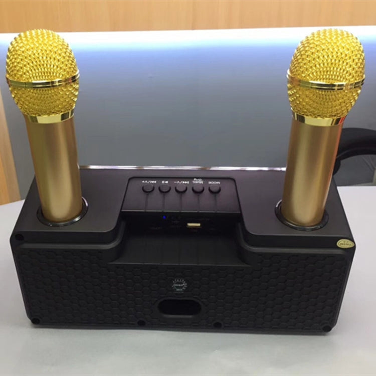 SDRD SD-301 2 in 1 Family KTV Portable Wireless Live Dual Microphone + Bluetooth Speaker(Black) - Microphone by SDRD | Online Shopping South Africa | PMC Jewellery | Buy Now Pay Later Mobicred