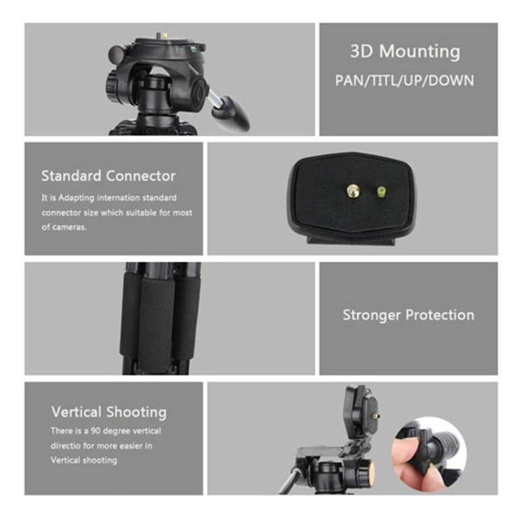 Q111 4-Section Folding Legs Live Broadcast Aluminum Alloy Tripod Mount with Three-dimensional Damping Tripod Heads(Black) - Tripods by PMC TechLife | Online Shopping South Africa | PMC TechLife | Buy Now Pay Later Mobicred