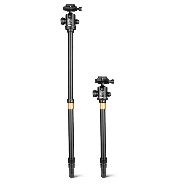 Q222 Portable 4-Section Folding Legs Aluminum Alloy Tripod Mount Monopod Holder with Ball Heads - Tripods by PMC TechLife | Online Shopping South Africa | PMC TechLife | Buy Now Pay Later Mobicred