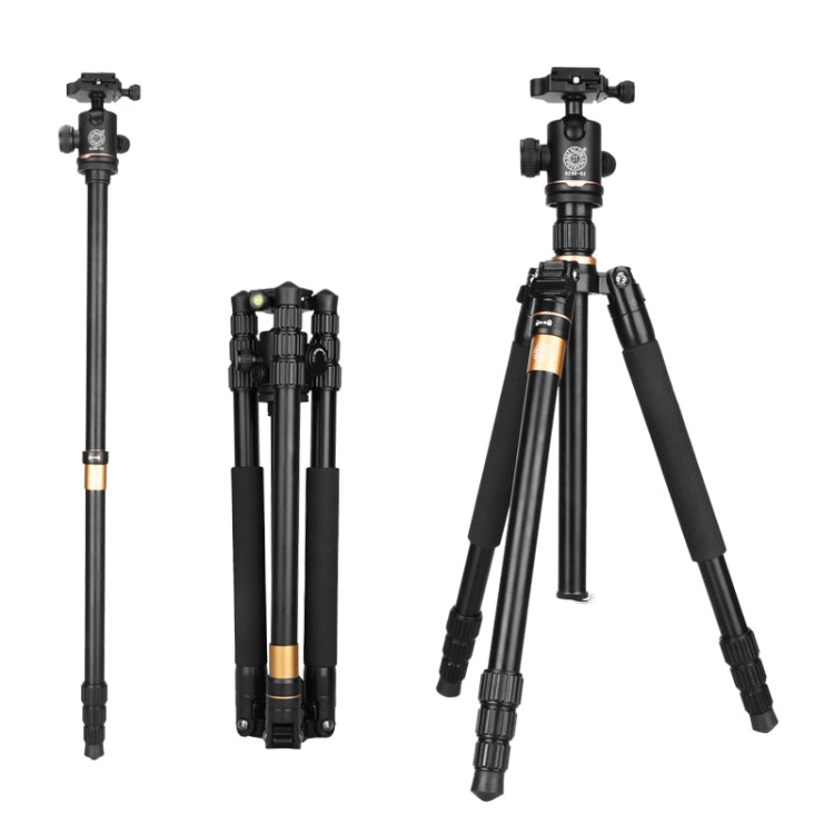 Q222 Portable 4-Section Folding Legs Aluminum Alloy Tripod Mount Monopod Holder with Ball Heads - Tripods by PMC TechLife | Online Shopping South Africa | PMC TechLife | Buy Now Pay Later Mobicred