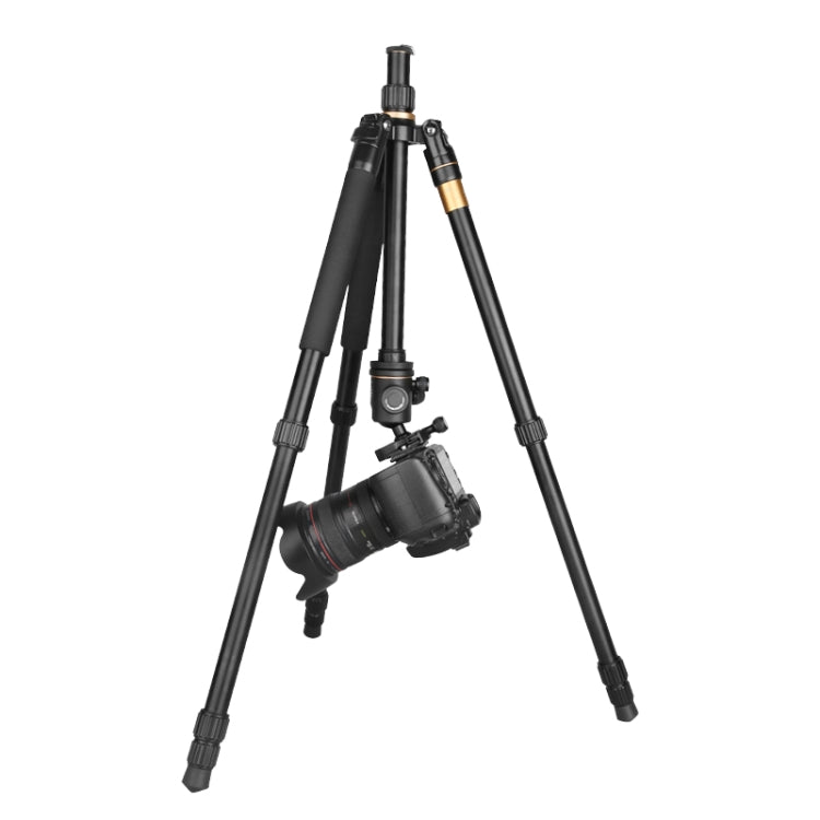 Q222 Portable 4-Section Folding Legs Aluminum Alloy Tripod Mount Monopod Holder with Ball Heads - Tripods by PMC TechLife | Online Shopping South Africa | PMC TechLife | Buy Now Pay Later Mobicred