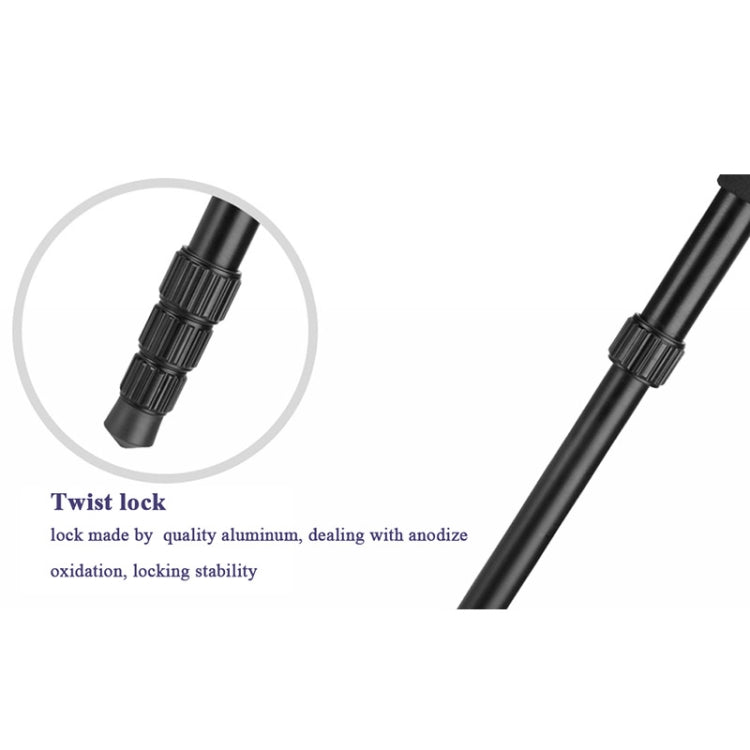 Q222 Portable 4-Section Folding Legs Aluminum Alloy Tripod Mount Monopod Holder with Ball Heads - Tripods by PMC TechLife | Online Shopping South Africa | PMC TechLife | Buy Now Pay Later Mobicred