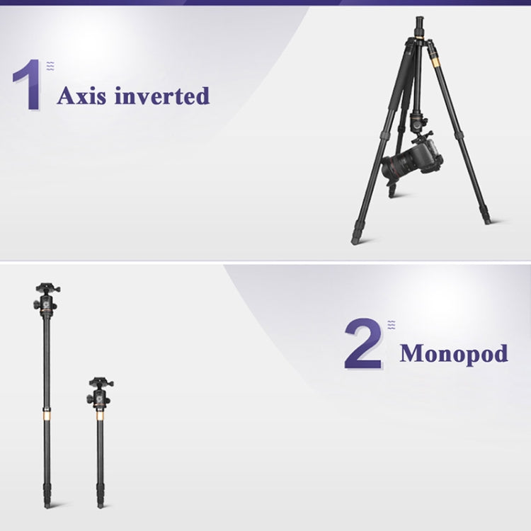 Q222 Portable 4-Section Folding Legs Aluminum Alloy Tripod Mount Monopod Holder with Ball Heads - Tripods by PMC TechLife | Online Shopping South Africa | PMC TechLife | Buy Now Pay Later Mobicred