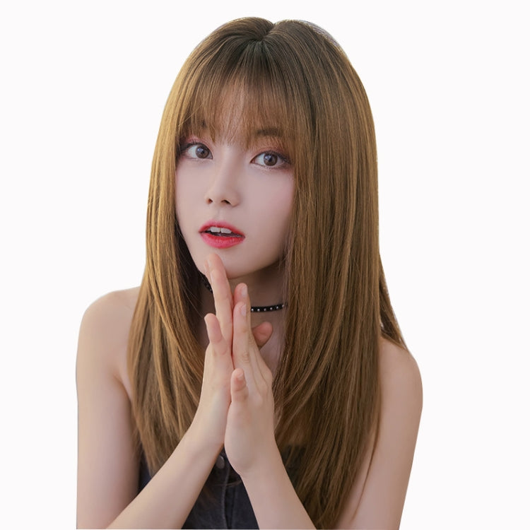 Ladies Long Straight Hair Air Bangs Wig Hair Set, Colour: Honey Tea - free shipping - PMC TechLife - Order now!