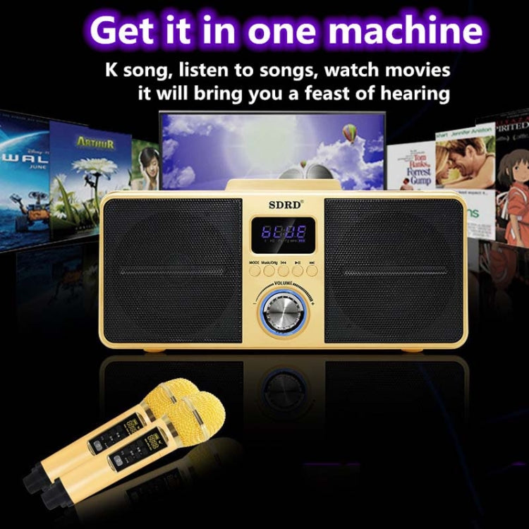 SDRD SD309 Wireless Microphone Bluetooth Audio All-In-One Machine(Golden) - Microphone by PMC Jewellery | Online Shopping South Africa | PMC Jewellery | Buy Now Pay Later Mobicred